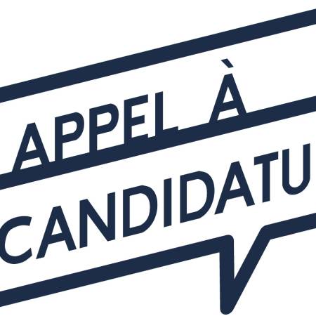 Appel à candidatures : Programme de bourses Nations Unies – Nippon Foundation