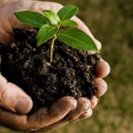 المسابقة الوطنية للتربية البيئية طبعة 2023